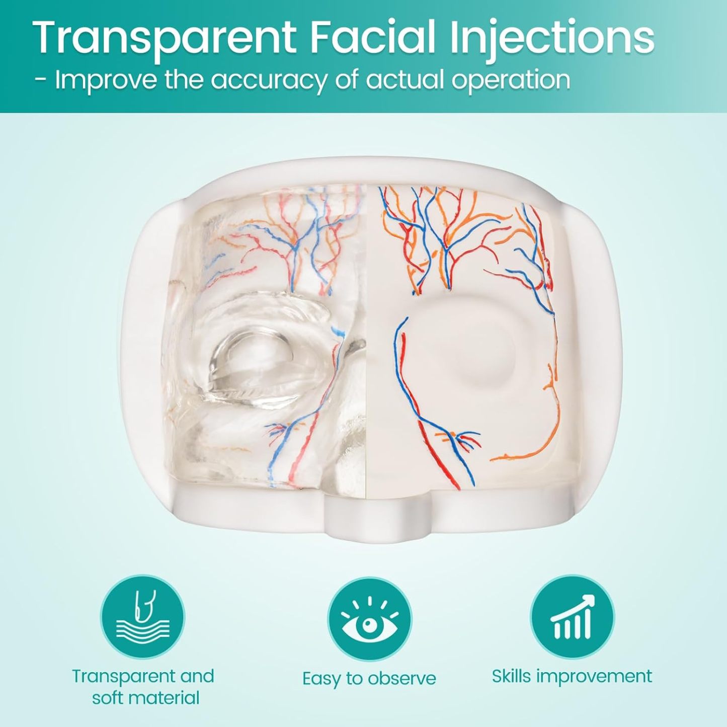 Upper Face Injection Training Model with Simulated Blood Vessels