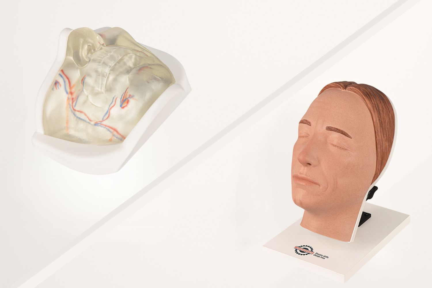 Transparent vs. Skin-Tone Facial Models: Which Should You Use?