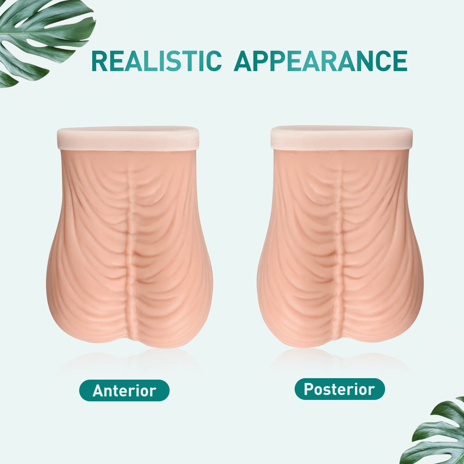 Realistic Testicles Model for TSE Education