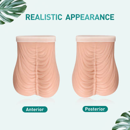 Realistic Testicles Model for TSE Education