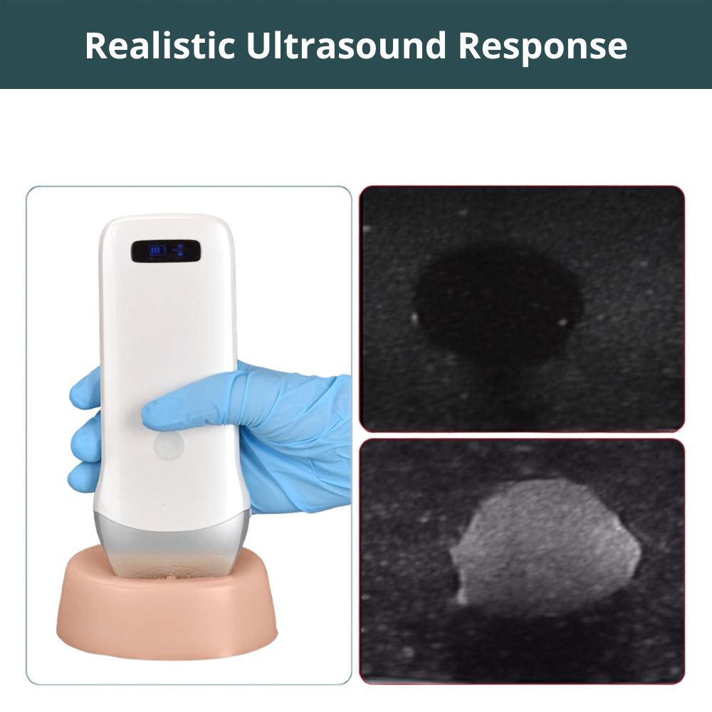 Ultrasound Biopsy Phantom for Lesion Localization & Needle Guidance