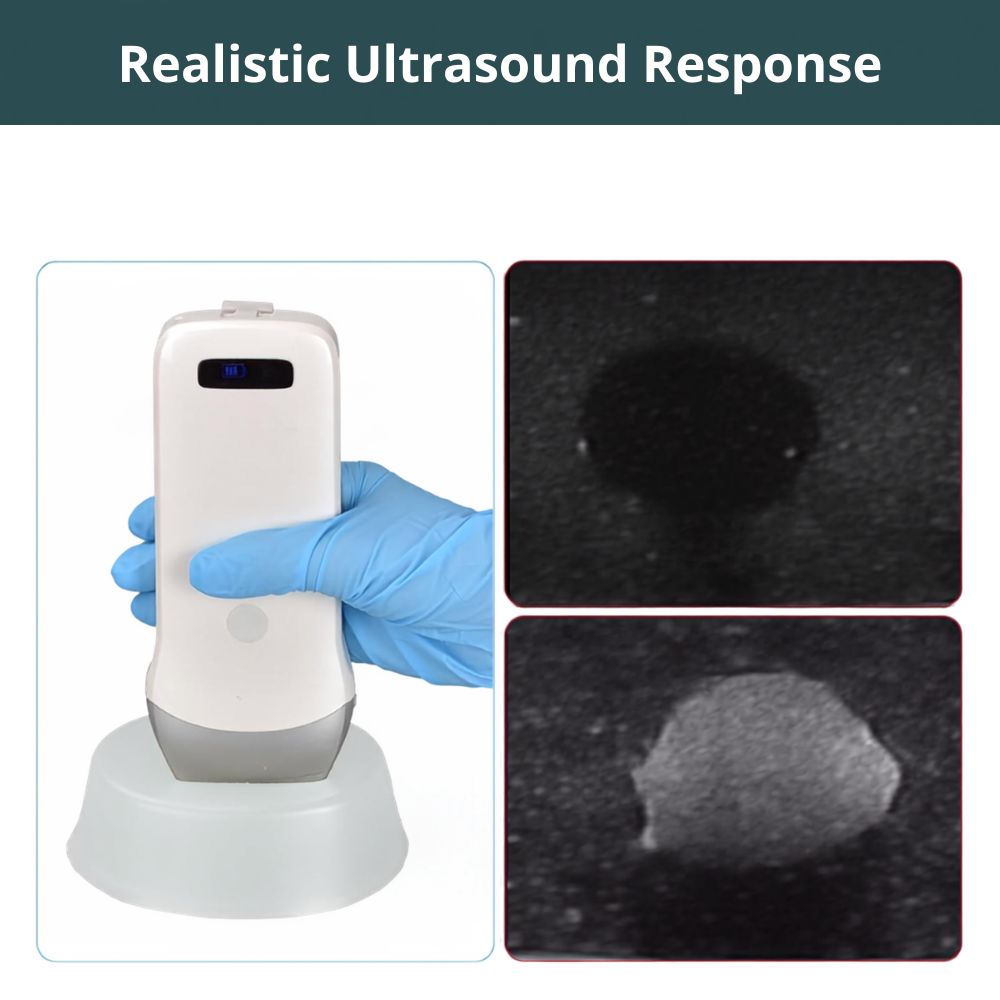  Transparent Ultrasound Guided Biopsy Trainer