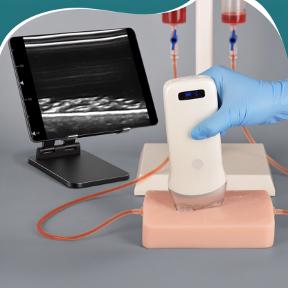 Ultrasound guided vascular puncture training model