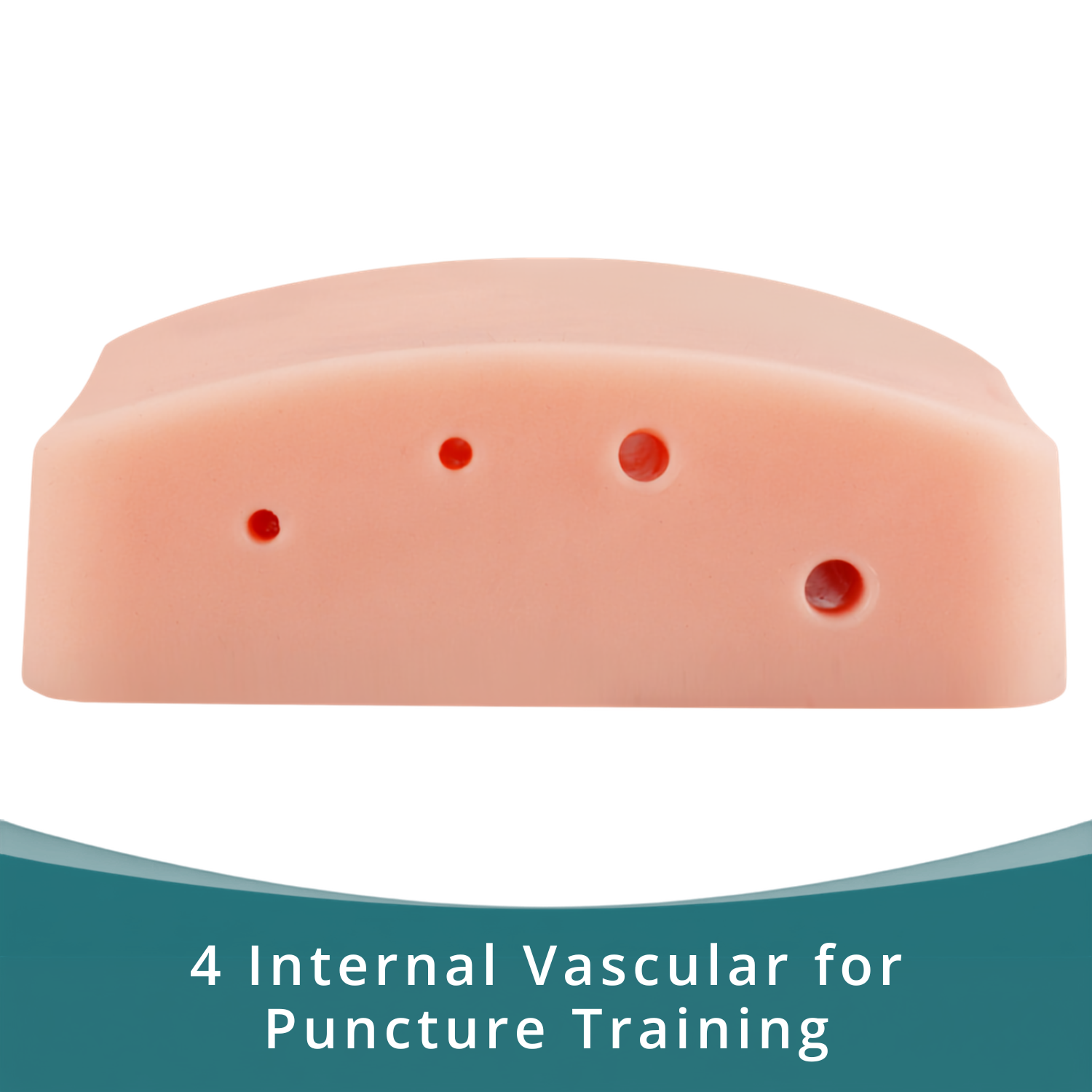 Vascular access phantom showing simulated vessels