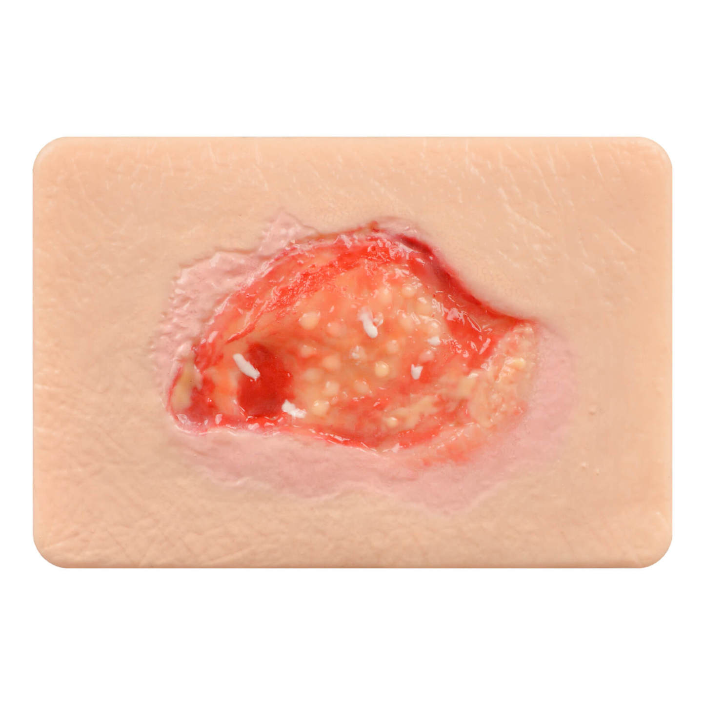 Card-sized Granulation Wound Simulation Models