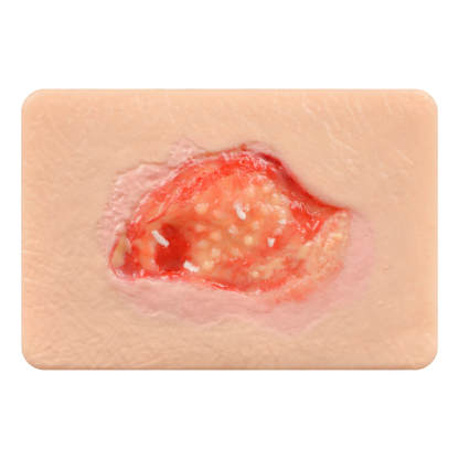 Card-sized Granulation Wound Simulation Models
