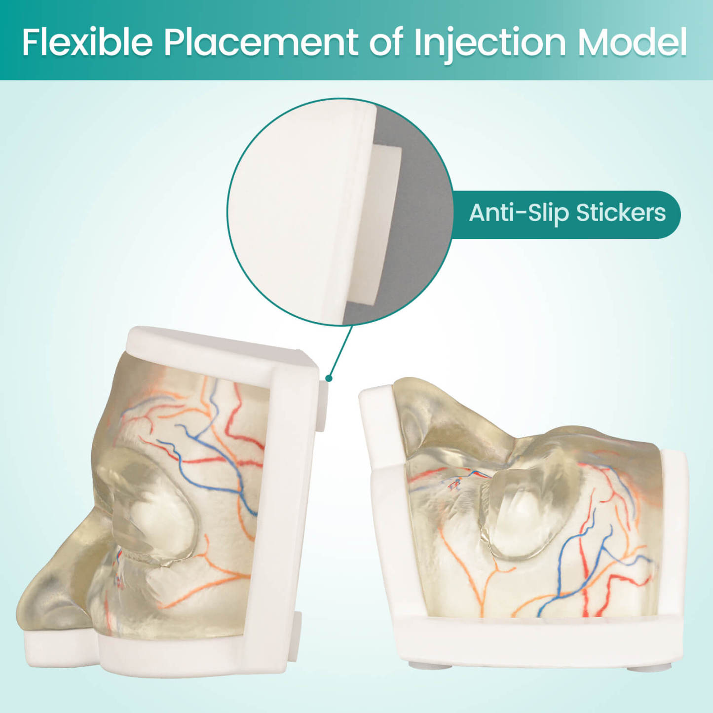 Transparent Upper Facial Injection Training Model with Simulated Blood Vessels