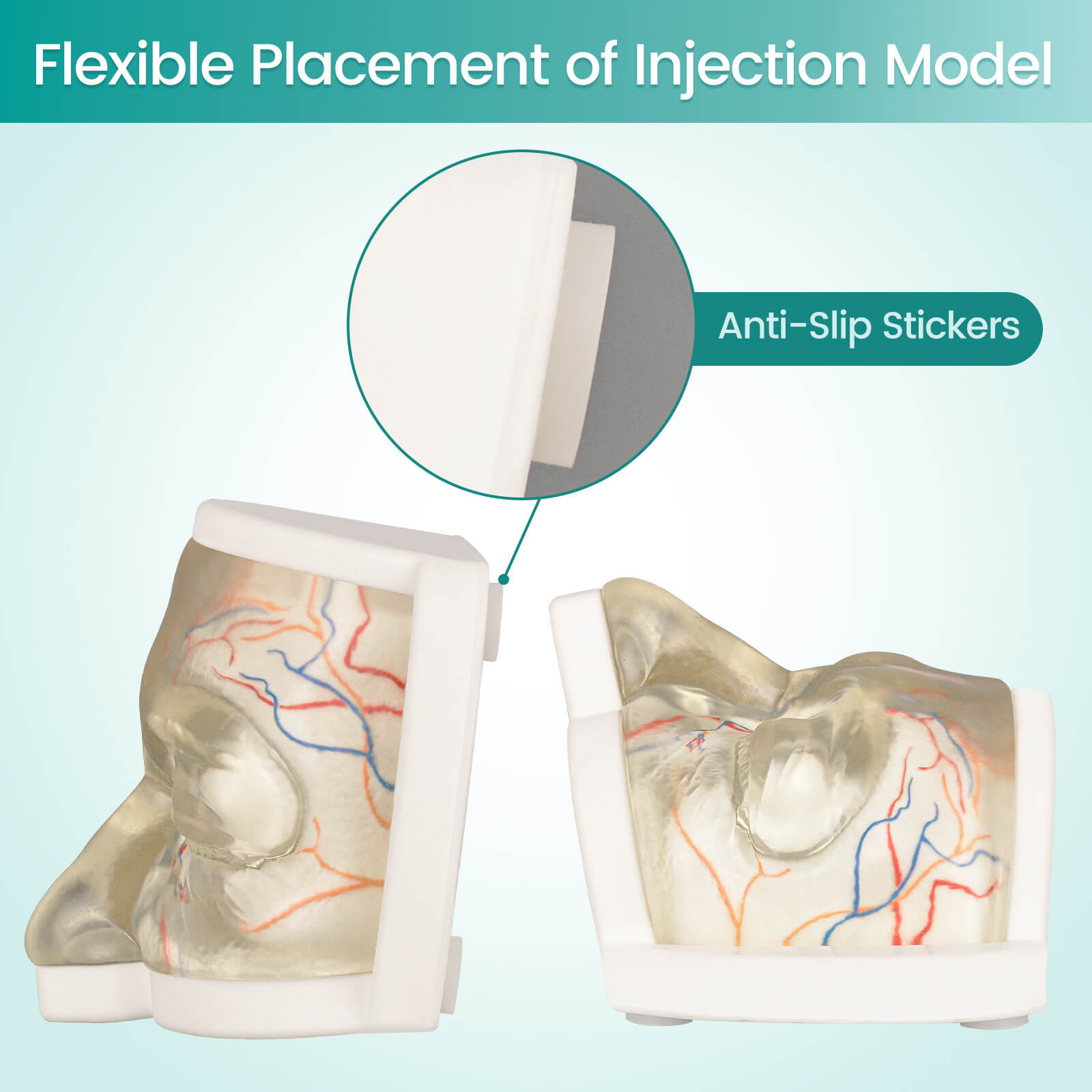 Transparent Upper Facial Injection Training Model with Simulated Blood Vessels