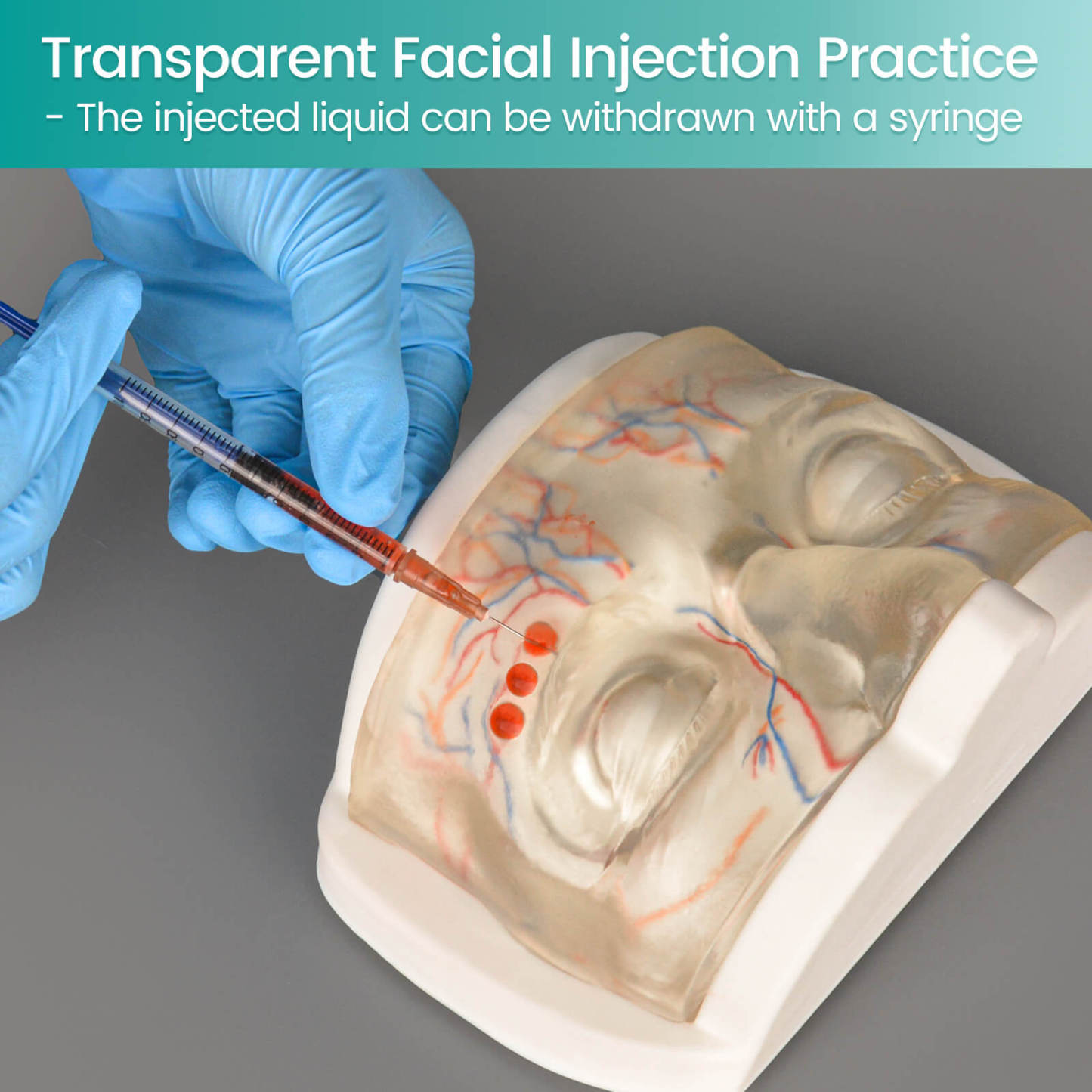 Transparent Upper Facial Injection Training Model with Simulated Blood Vessels