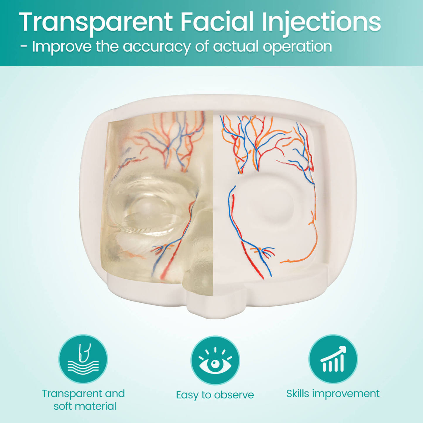 Transparent Upper Facial Injection Training Model with Simulated Blood Vessels