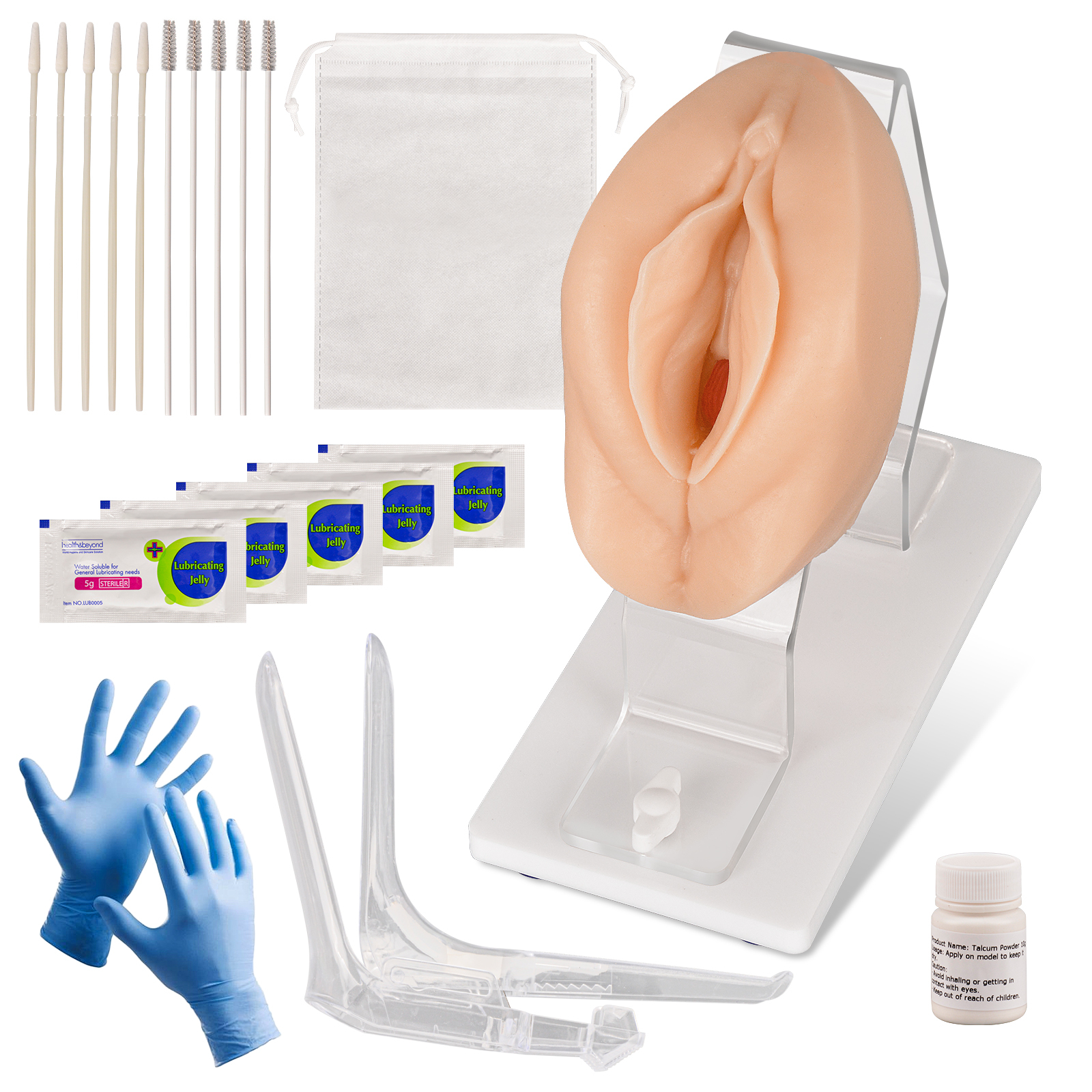 Vaginal and Pelvic Exam Training Model