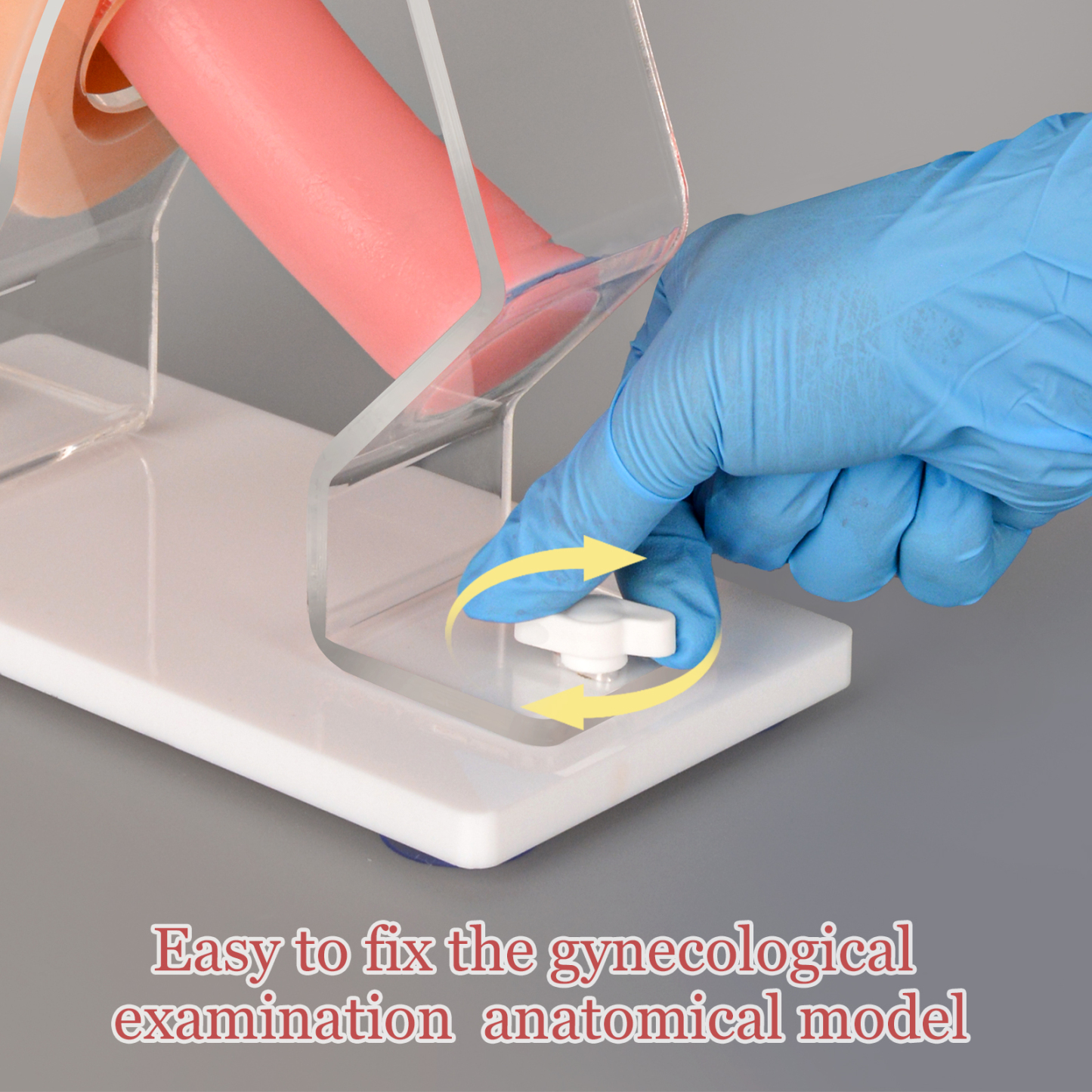 Vaginal and Pelvic Exam Training Model