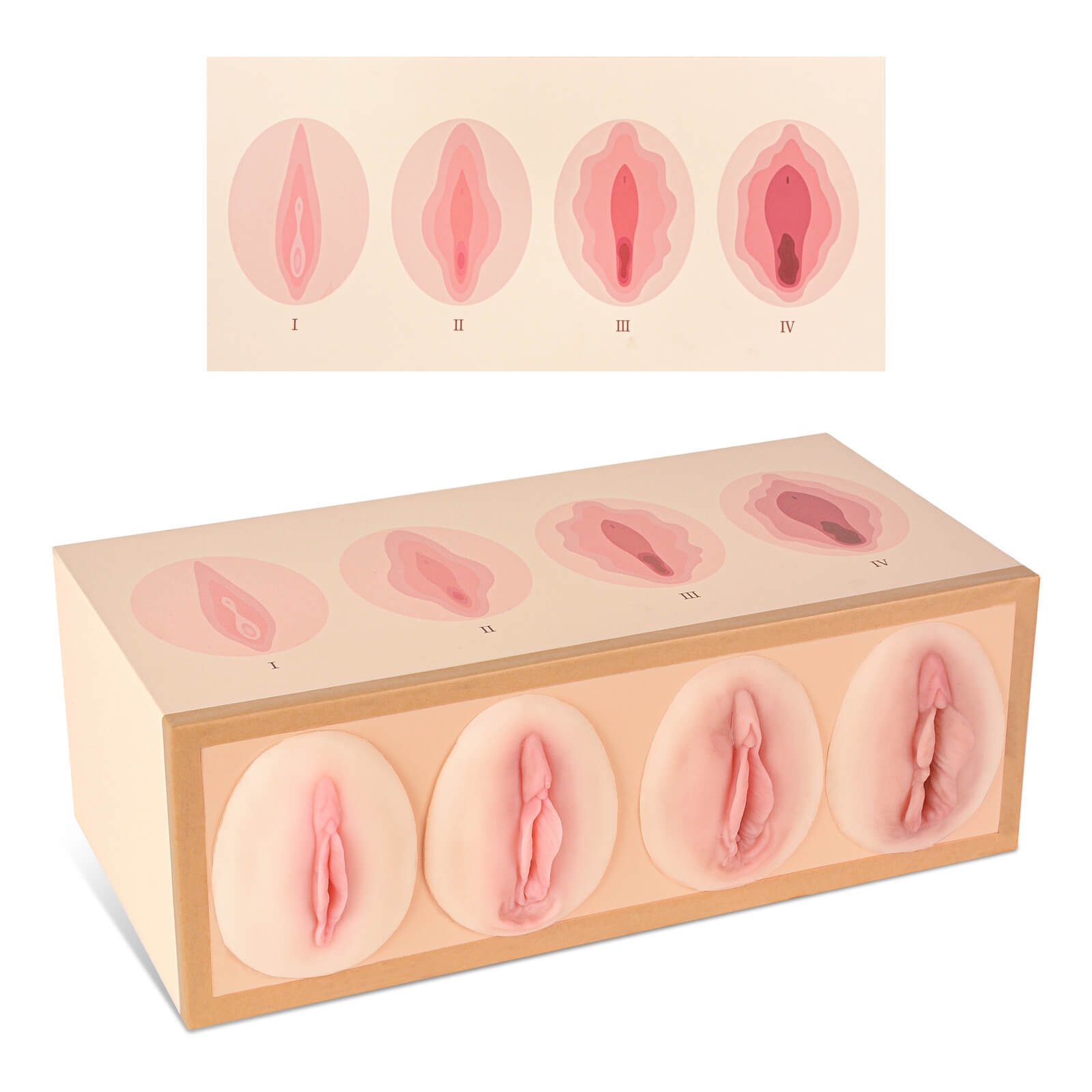 Vaginal Tightness Comparison Model for Gynecology Training