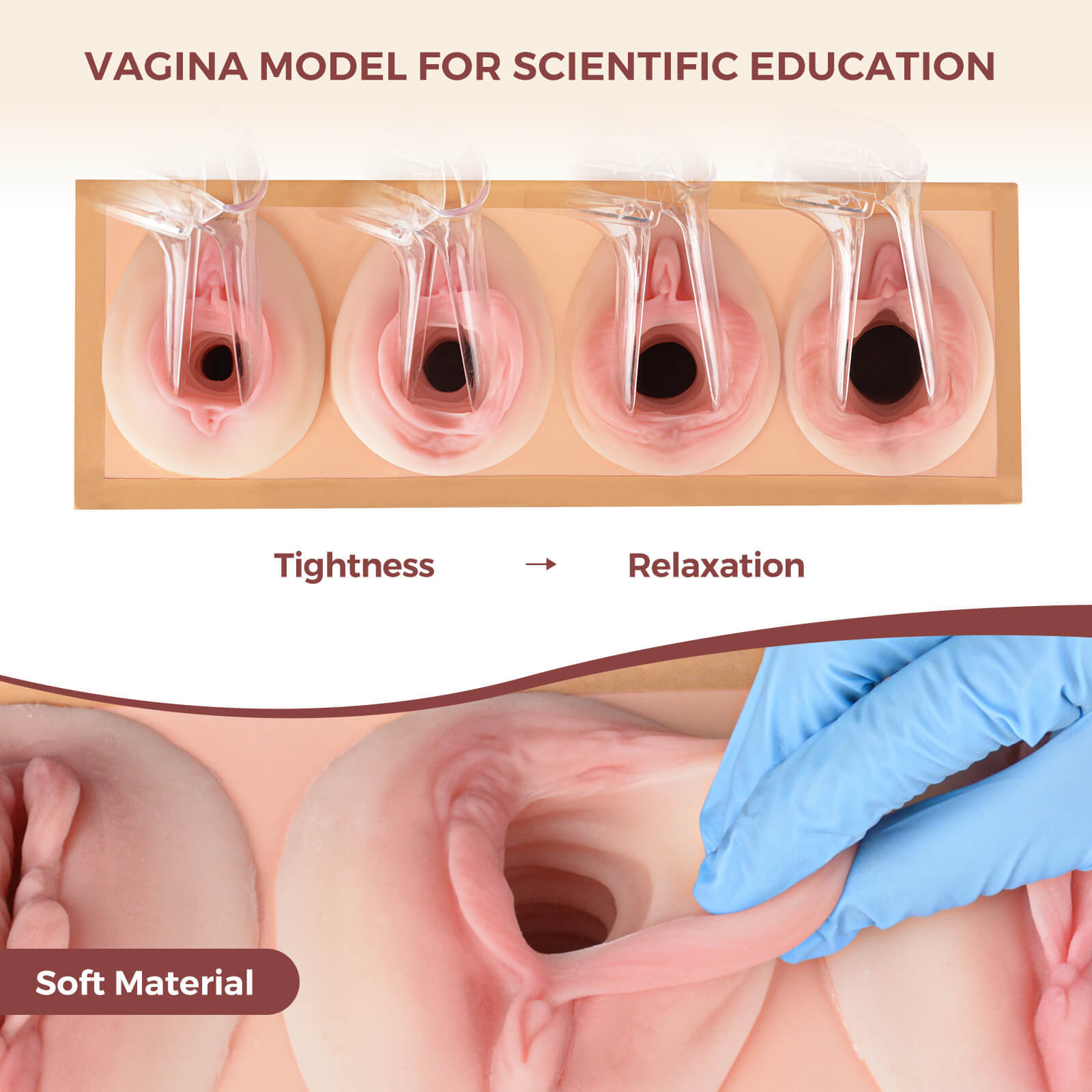Vaginal Tightness Comparison Model for Gynecology Training