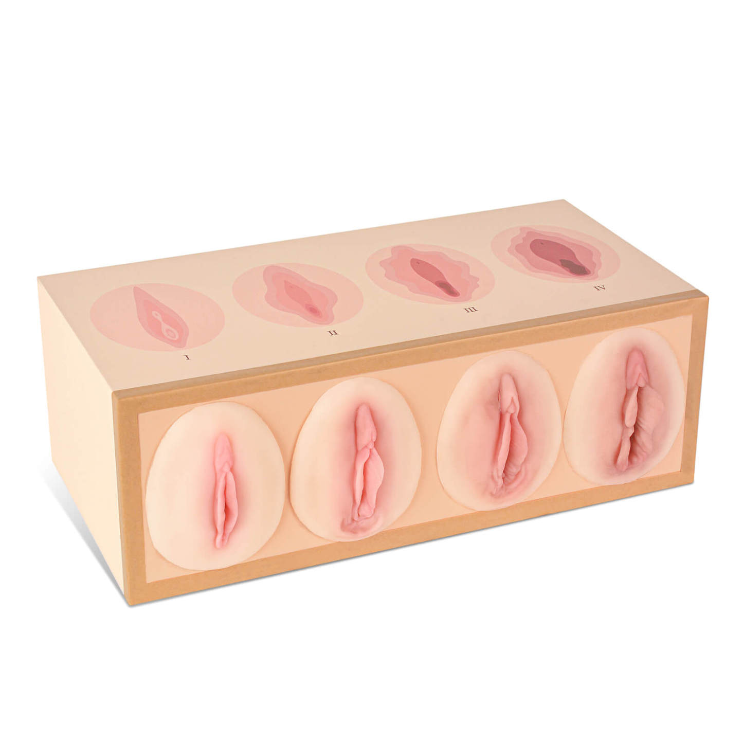 Vaginal Tightness Comparison Model for Gynecology Training