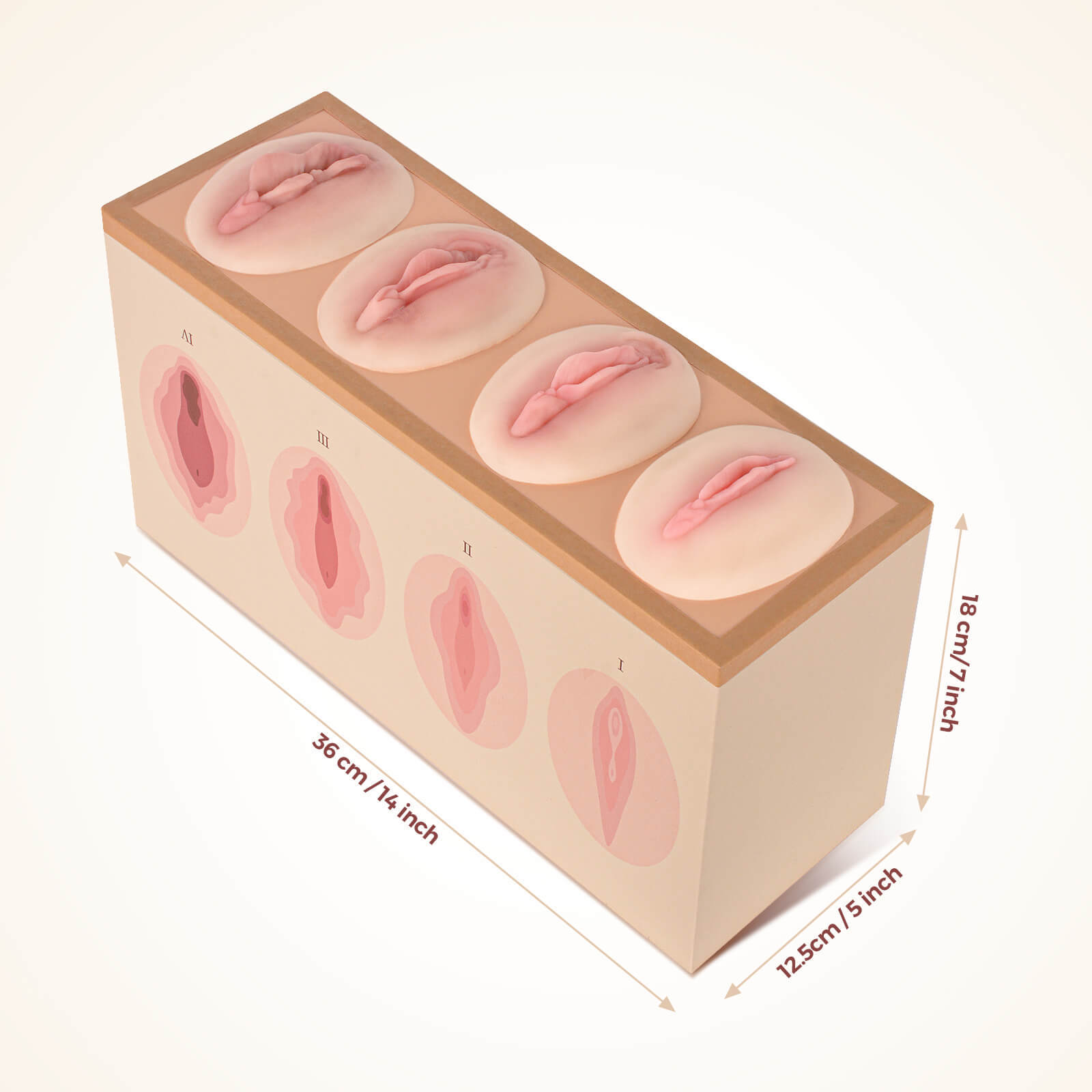 Vaginal Tightness Comparison Model for Gynecology Training