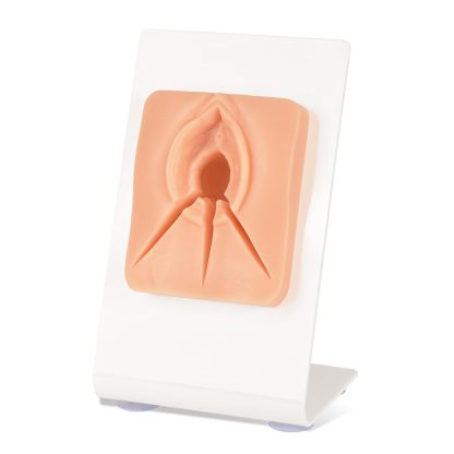 Episiotomy Suturing Model with Multi Incision