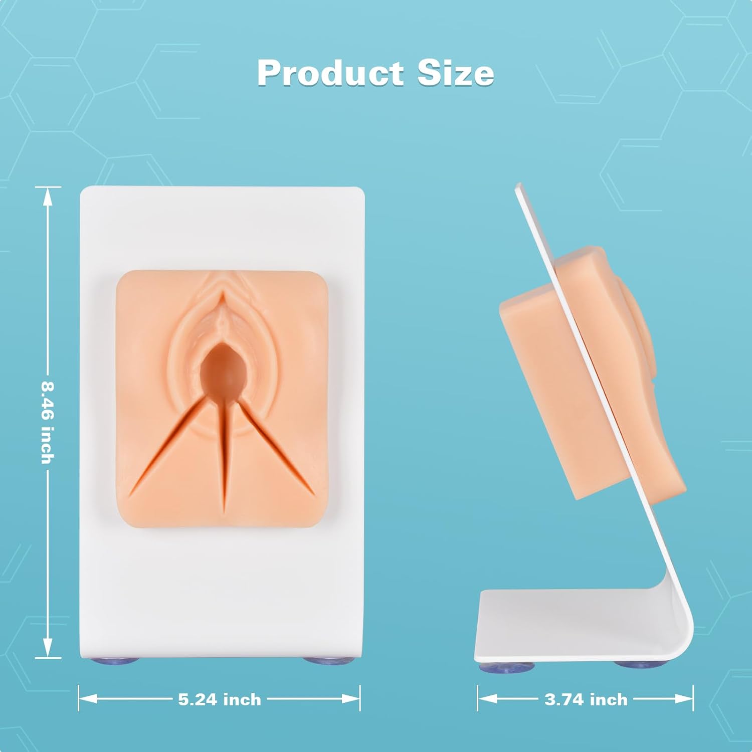Episiotomy Suturing Model with Multi Incision
