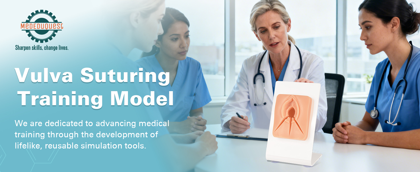 Vulva Episiotomy Suturing Model with Multi Incision