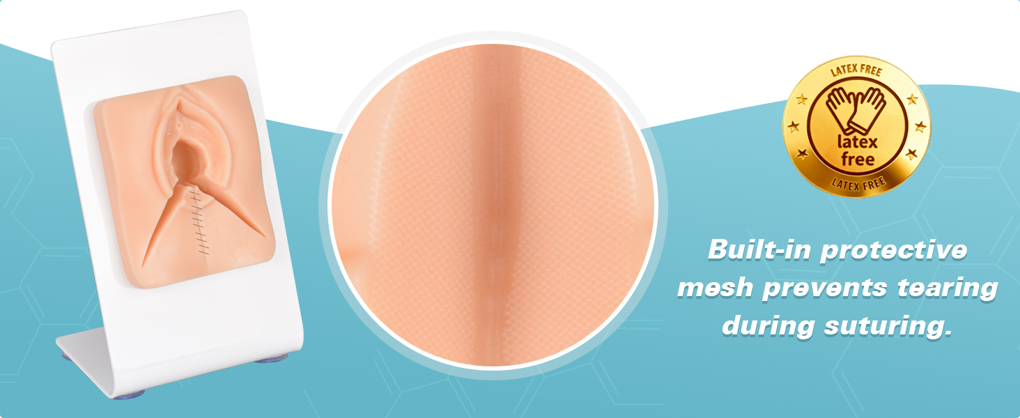 Vulva Episiotomy Suturing Model with Multi Incision