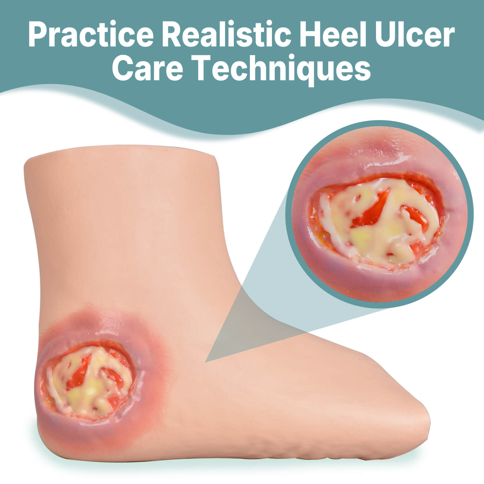 Heel Ulcer Wound Care Trainer 