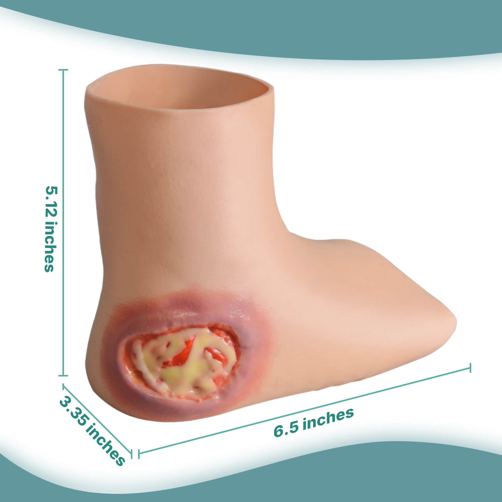 Heel Ulcer Wound Care Trainer Size