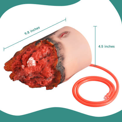 Wearable Severed Leg Trauma Model for Hemostasis Training