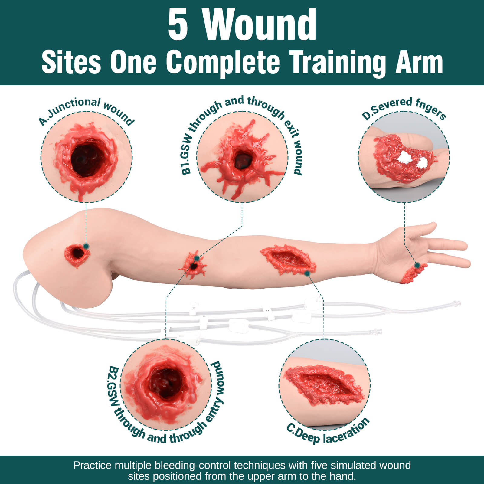 Wound packing arm trainer with multiple wounds