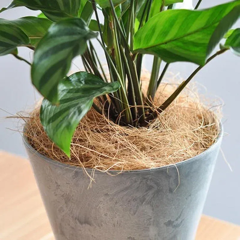 100/200g Natural Coconut Husk Fiber Flowerpot Cover Insect-proof Protect Flower Plant Soil Keep Warm Reptil Bird Nest Garden Sup