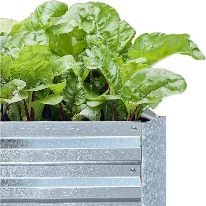 Verzinkte Hochbeete für Gemüse Großes Metall Pflanzgefäß Stahl Kit Blume Kraut (8 x 4 x 1 ft * 2 Pack, verzinkt)