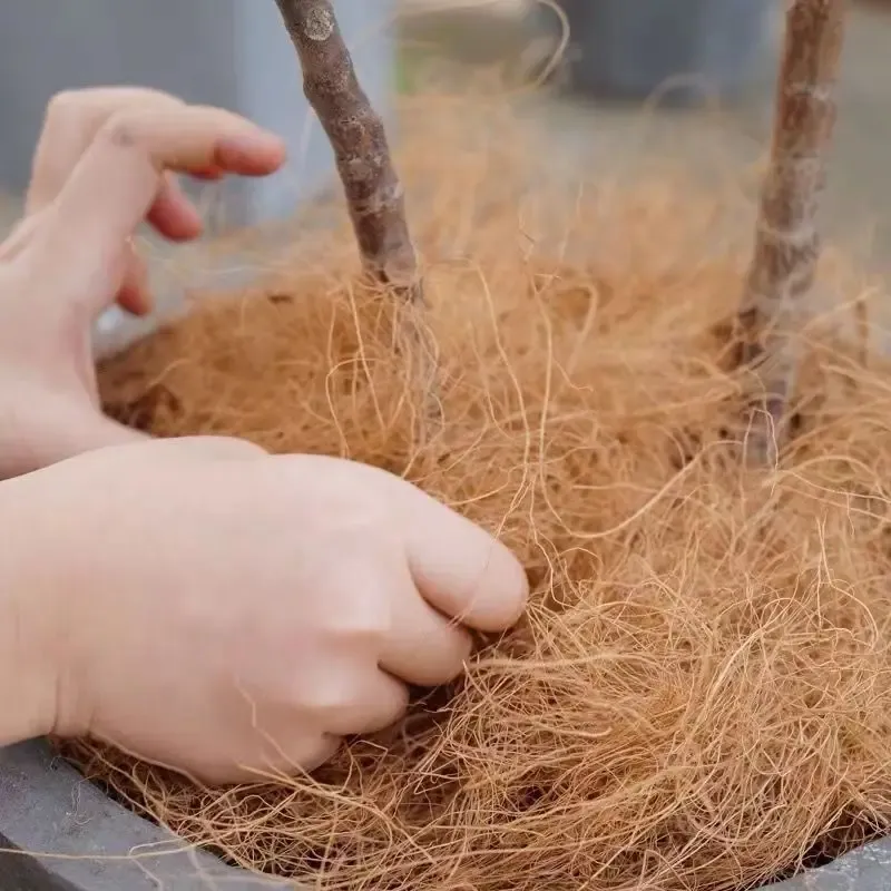100/200g Natural Coconut Husk Fiber Flowerpot Cover Insect-proof Protect Flower Plant Soil Keep Warm Reptil Bird Nest Garden Sup