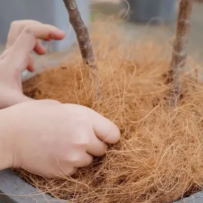 100/200g Natural Coconut Husk Fiber Flowerpot Cover Insect-proof Protect Flower Plant Soil Keep Warm Reptil Bird Nest Garden Sup