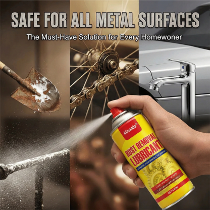 Anti-Rust Lubricant Spray & Rust Remover