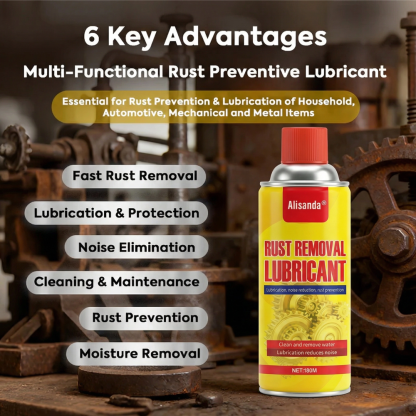 Anti-Rust Lubricant Spray & Rust Remover
