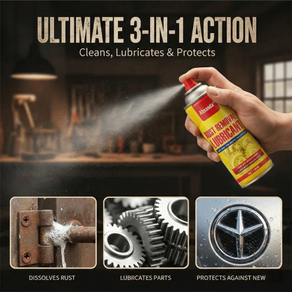Anti-Rust Lubricant Spray & Rust Remover