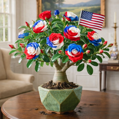 🇺🇸 Celebrate America’s 250th – Red, White & Blue Desert Rose (Adenium) Seedlings