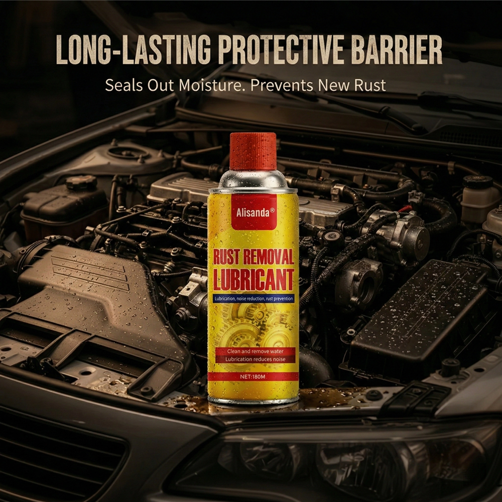 Anti-Rust Lubricant Spray & Rust Remover