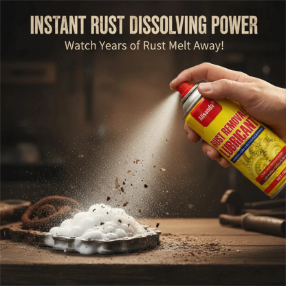 Anti-Rust Lubricant Spray & Rust Remover