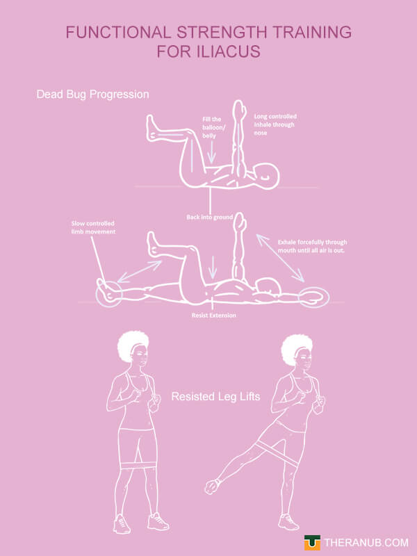 Functional Strength Training for iliacus
