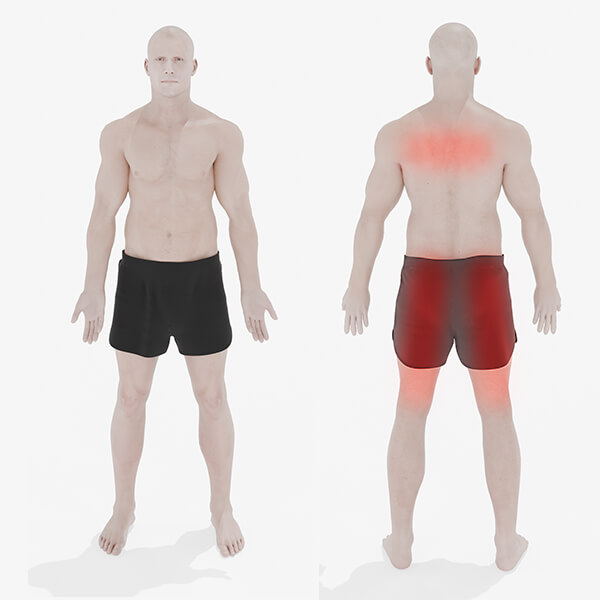 Shoulder Blade Gluteal Back of Thigh Stretches