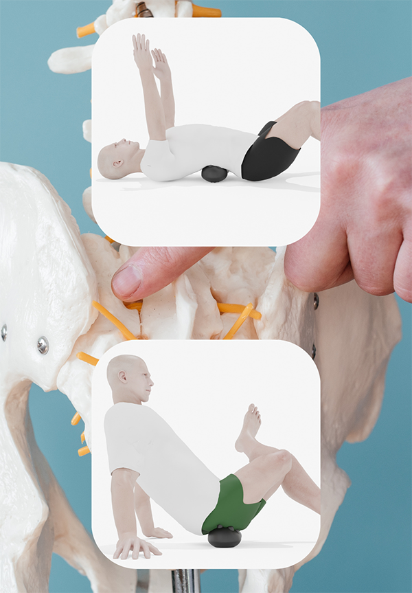 massage piriformis and ql muscle with the acu-hump release tool