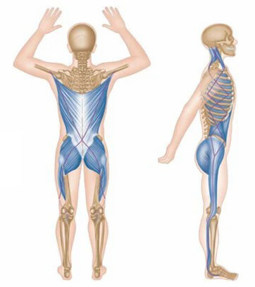 myofascial piriformis syndrome