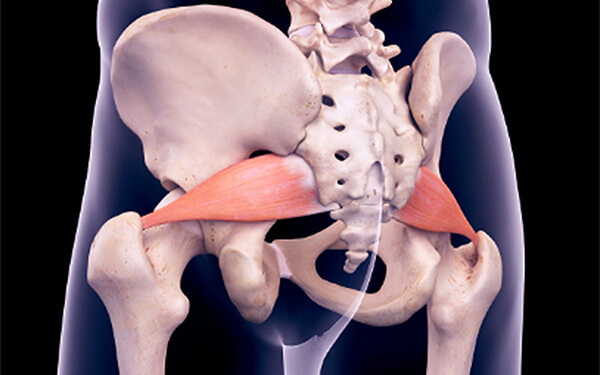 piriformis origin and insertion​