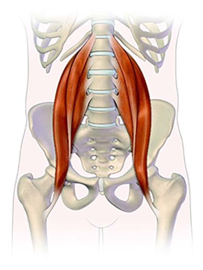 psoas major cause sacrum pain