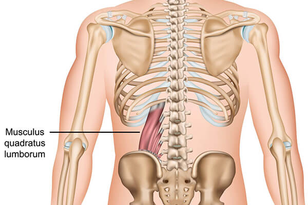 quadratus laumborum cause sacrum pain