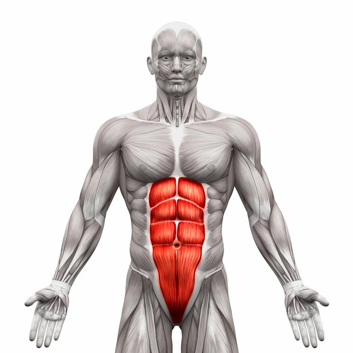 rectus abdominis cause sacrum pain