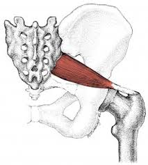 si joint and piriformis