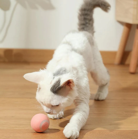 🎁 Oferta de Año Nuevo 2024🎁 ¡Descuento del 50% en todos los productos! La bola inteligente rodante original