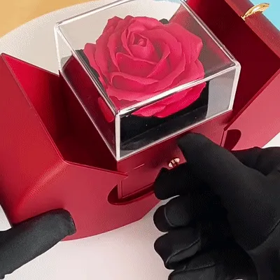 🎁 Balto aukso karoliai - tikra rožė - geriausia dovana merginai, mylimajai, mamai