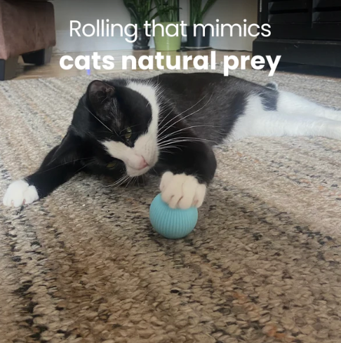 🎁 Oferta de Año Nuevo 2024🎁 ¡Descuento del 50% en todos los productos! La bola inteligente rodante original